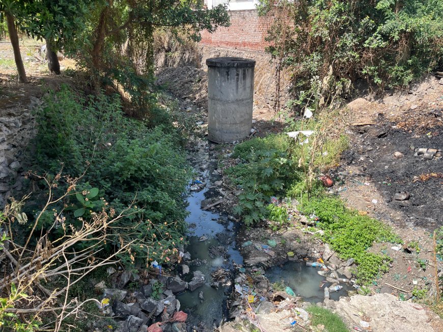 नाले सफाई तत्काळ सुरू करा* *मा.सभापती यांचे आदेश