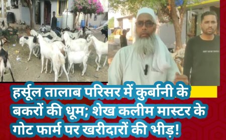 हर्सूल तालाब परिसर में कुर्बानी के बकरों की धूम; शेख कलीम मास्टर के गोट फार्म पर खरीदारों की भीड़!