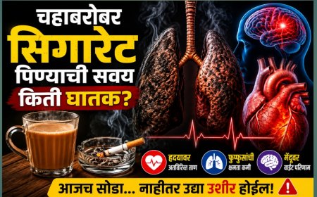 🚬☕ चहाबरोबर सिगारेट पिण्याची सवय किती घातक? हृदय, फुफ्फुसं आणि मेंदूवर होतो गंभीर परिणाम
