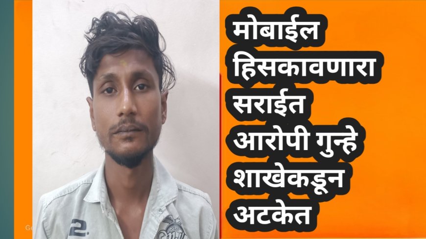 मोबाईल हिसकावणारा सराईत आरोपी गुन्हे शाखेकडून अटकेत