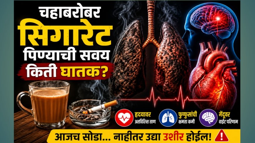 🚬☕ चहाबरोबर सिगारेट पिण्याची सवय किती घातक? हृदय, फुफ्फुसं आणि मेंदूवर होतो गंभीर परिणाम