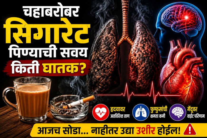 🚬☕ चहाबरोबर सिगारेट पिण्याची सवय किती घातक? हृदय, फुफ्फुसं आणि मेंदूवर होतो गंभीर परिणाम