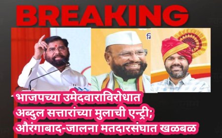 भाजपच्या उमेदवाराविरोधात अब्दुल सत्तारांच्या मुलाची एन्ट्री; औरंगाबाद -जालना मतदारसंघात खळबळ