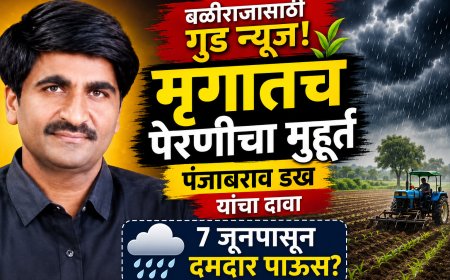 "मृग नक्षत्रातच होणार पेरणी! पंजाब डख यांनी दिली पावसाची मोठी गुड न्यूज"