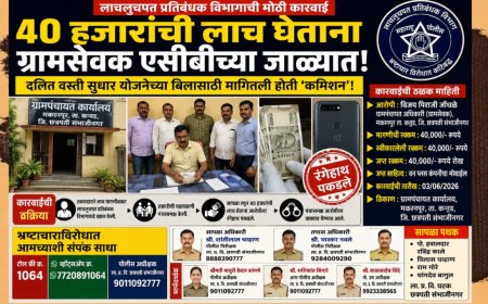 ४० हजारांची लाच घेताना ग्रामसेवक एसीबीच्या जाळ्यात; दलित वस्ती सुधार योजनेच्या बिलासाठी मागितली होती ‘कमिशन’!