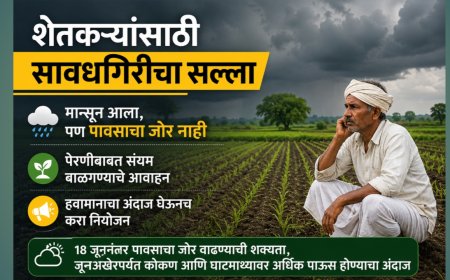 शेतकऱ्यांसाठी सावधगिरीचा सल्ला; मान्सून आला, पण पावसाचा जोर नाही; पेरणीबाबत संयम बाळगण्याचे आवाहन