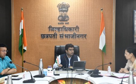 'हरित महाराष्ट्र' मिशनला गती; जिल्ह्यात २१,९४० हेक्टरवर २.४४ कोटी वृक्ष लागवडीचे उद्दिष्ट;  जिल्हाधिकारी विनय गौडा यांचे निर्देश