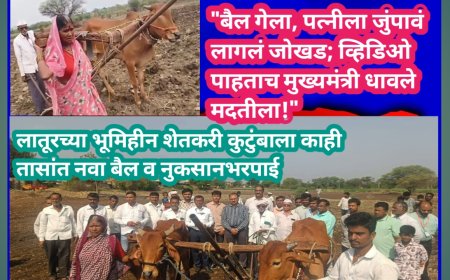 "बैल गेला, पत्नीला जुंपावं लागलं जोखड; व्हिडिओ पाहताच मुख्यमंत्री धावले मदतीला!" लातूरच्या भूमिहीन शेतकरी कुटुंबाला काही तासांत नवा बैल व नुकसानभरपाई;
