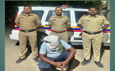 पोलीस अधीक्षक प्रकाश जाधव यांचा दारू माफियांवर मोठा प्रहार; गणेश पवार एमपीडीए अंतर्गत तडीपार