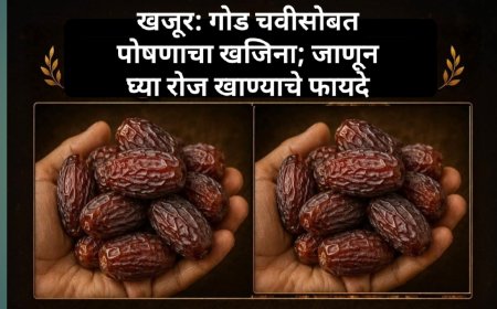 खजूर: गोड चवीसोबत पोषणाचा खजिना; जाणून घ्या रोज खाण्याचे फायदे