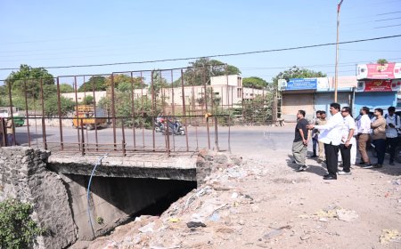 पावसाळ्यापूर्वी नालेसफाईची कामे वेळेत पूर्ण करा; स्थायी समिती सभापती अनिल मकरिये यांचे निर्देश