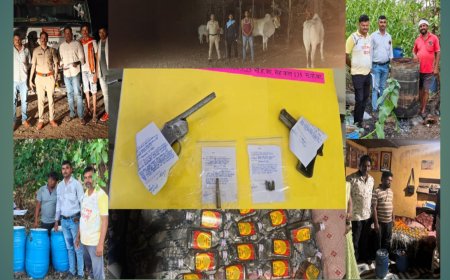 "ऑपरेशन ऑल आऊटचा जिल्ह्यात धडाका! 77 आरोपींवर 73 गुन्हे; 2.32 कोटींचा मुद्देमाल जप्त, 2 गावठी कट्टे हस्तगत"