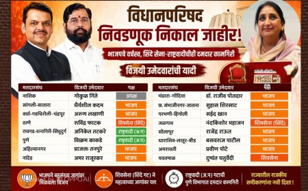 विधानपरिषद रणधुमाळीचा निकाल स्पष्ट; भाजपचे वर्चस्व, शिंदे सेना-राष्ट्रवादीचीही ताकद कायम
