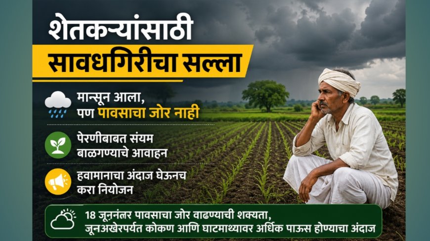 शेतकऱ्यांसाठी सावधगिरीचा सल्ला; मान्सून आला, पण पावसाचा जोर नाही; पेरणीबाबत संयम बाळगण्याचे आवाहन