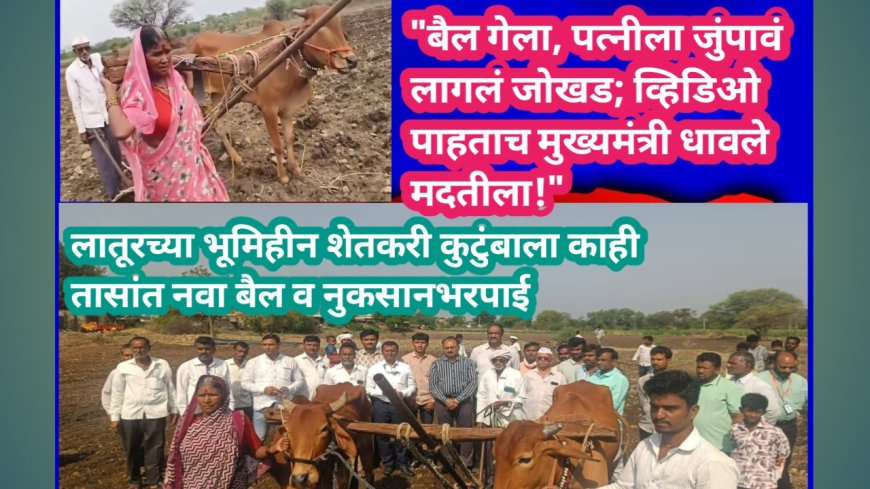 "बैल गेला, पत्नीला जुंपावं लागलं जोखड; व्हिडिओ पाहताच मुख्यमंत्री धावले मदतीला!" लातूरच्या भूमिहीन शेतकरी कुटुंबाला काही तासांत नवा बैल व नुकसानभरपाई;