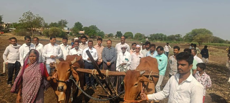 "बैल गेला, पत्नीला जुंपावं लागलं जोखड; व्हिडिओ पाहताच मुख्यमंत्री धावले मदतीला!" लातूरच्या भूमिहीन शेतकरी कुटुंबाला काही तासांत नवा बैल व नुकसानभरपाई;