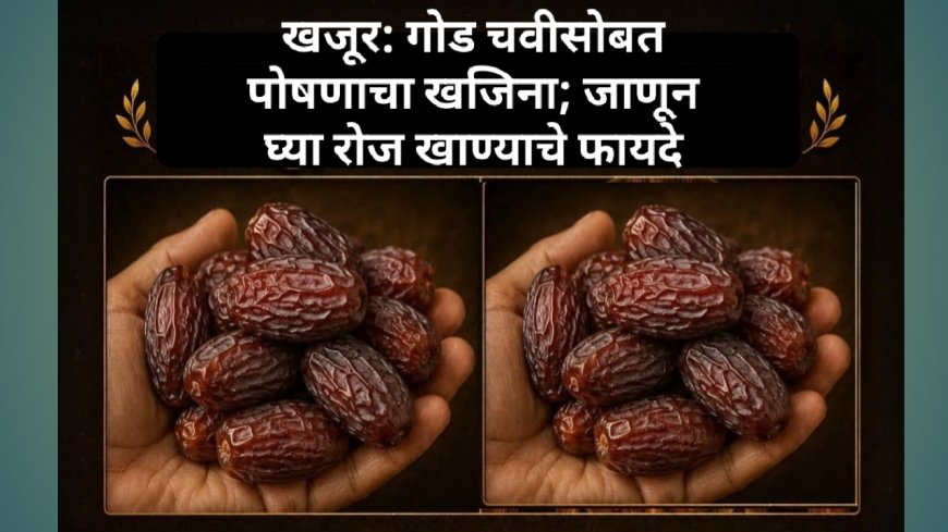 खजूर: गोड चवीसोबत पोषणाचा खजिना; जाणून घ्या रोज खाण्याचे फायदे