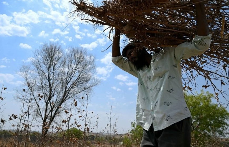 "एल निनोचा इशारा! महाराष्ट्रातील शेतकऱ्यांनी आताच सावध व्हा; संकटाला संधीत बदलण्याचा मंत्र – अतुल चव्हाण"