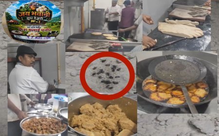 ज्वारी-बाजरीच्या पिठात जिवंत कीटक; ‘छप्पन भोग’चा FSSAI परवाना निलंबित