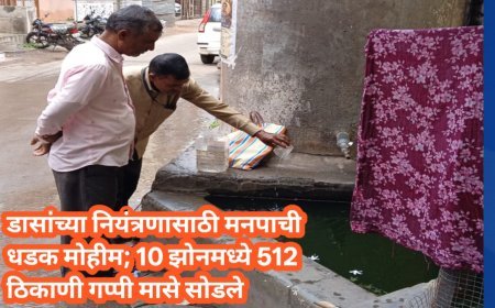 डासांच्या नियंत्रणासाठी मनपाची धडक मोहीम; 10 झोनमध्ये 512 ठिकाणी गप्पी मासे सोडले