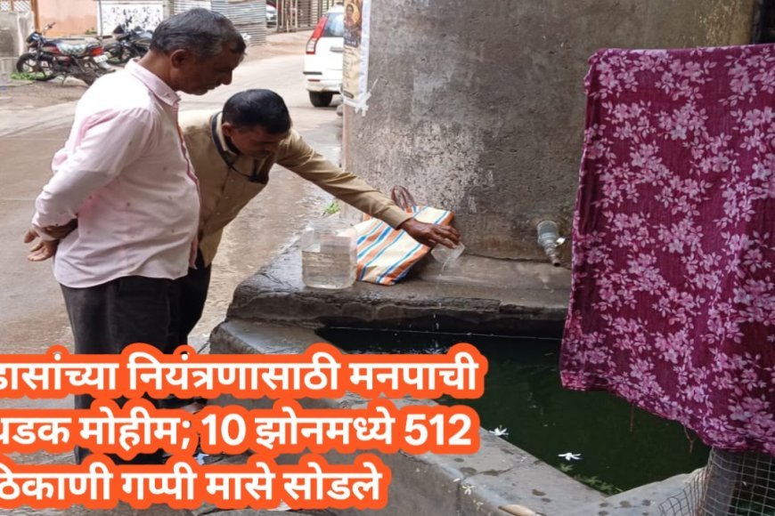 डासांच्या नियंत्रणासाठी मनपाची धडक मोहीम; 10 झोनमध्ये 512 ठिकाणी गप्पी मासे सोडले