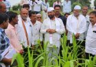 पावसाच्या दडीने पिके करपली; आमदार अब्दुल सत्तारांची बांधावर जाऊन पाहणी! सिल्लोड-सोयगाव तालुक्यातील नुकसानग्रस्त शेतकऱ्यांना दिलासा; तातडीने पंचनाम्याचे आदेश