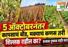 5 ऑक्टोबरनंतर कापसाचं बोंड, मक्याचं कणस तरी शिल्लक राहील का? सरसकट दुष्काळ जाहीर करा!