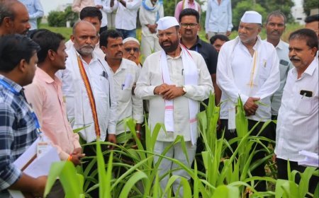 पावसाच्या दडीने पिके करपली; आमदार अब्दुल सत्तारांची बांधावर जाऊन पाहणी! सिल्लोड-सोयगाव तालुक्यातील नुकसानग्रस्त शेतकऱ्यांना दिलासा; तातडीने पंचनाम्याचे आदेश