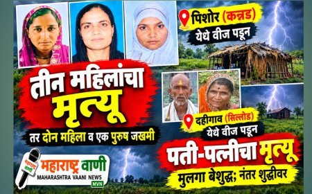 सिल्लोड-कन्नड तालुक्यात वीजेचा कहर; पती-पत्नींसह तीन महिलांचा मृत्यू
