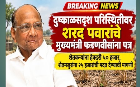 दुष्काळसदृश परिस्थितीवर शरद पवारांचे मुख्यमंत्री फडणवीसांना पत्र! शेतकऱ्यांना हेक्टरी ५० हजार, शेतमजुरांना २५ हजारांची मदत देण्याची मागणी