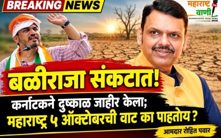बळीराजा संकटात; कर्नाटकने दुष्काळ जाहीर केला, महाराष्ट्र ५ ऑक्टोबरची वाट का पाहतोय? आमदार रोहित पवार