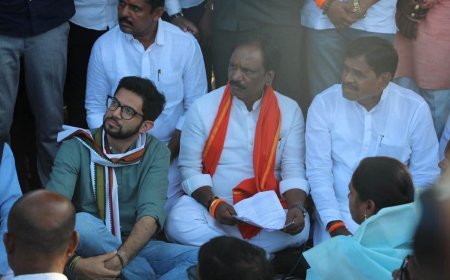 दुष्काळ जाहीर करून उपयोग नाही; शेतकऱ्यांच्या खात्यात थेट मदत जमा करा – आदित्य ठाकरे
