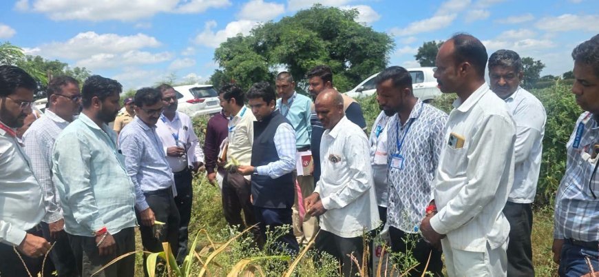 पिकांची स्थिती पाहण्यासाठी जिल्हाधिकारी थेट शेतात; पर्जन्यमान व पीक परिस्थितीवर बारकाईने लक्ष