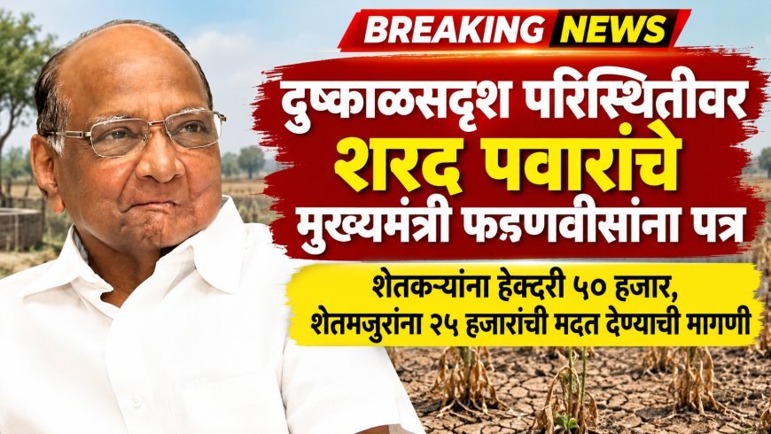 दुष्काळसदृश परिस्थितीवर शरद पवारांचे मुख्यमंत्री फडणवीसांना पत्र! शेतकऱ्यांना हेक्टरी ५० हजार, शेतमजुरांना २५ हजारांची मदत देण्याची मागणी