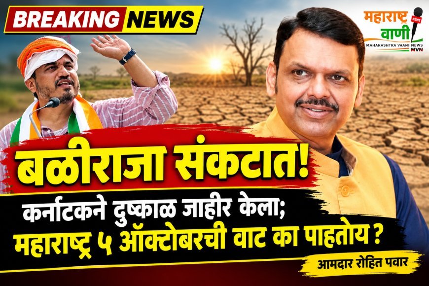 बळीराजा संकटात; कर्नाटकने दुष्काळ जाहीर केला, महाराष्ट्र ५ ऑक्टोबरची वाट का पाहतोय? आमदार रोहित पवार