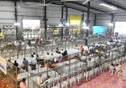 पदवीधर मतदारसंघाची मतमोजणी कशी होणार? ७० टेबलांवर १३ फेऱ्या; सकाळी ८ वाजता सुरुवात