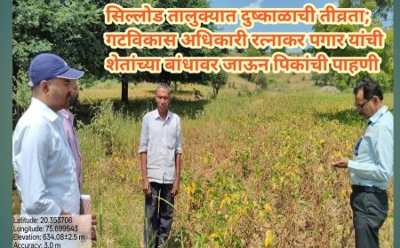 सिल्लोड तालुक्यात दुष्काळाची तीव्रता; गटविकास अधिकारी रत्नाकर पगार यांची शेतांच्या बांधावर जाऊन पिकांची पाहणी