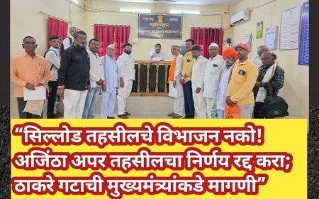“सिल्लोड तहसीलचे विभाजन नको! अजिंठा अपर तहसीलचा निर्णय रद्द करा; ठाकरे गटाची मुख्यमंत्र्यांकडे मागणी”