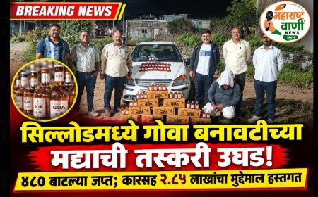 सिल्लोडमध्ये गोवा बनावटीच्या मद्याची तस्करी उघड! ४८० बाटल्या जप्त; कारसह २.८५ लाखांचा मुद्देमाल हस्तगत