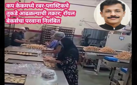 कप केकमध्ये रबर-प्लास्टिकचे तुकडे आढळल्याची तक्रार; रॉयल बेकर्सचा परवाना निलंबित