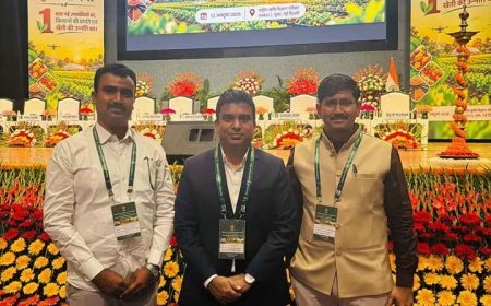 कृषी उत्पादकतेत छत्रपती संभाजीनगरची राष्ट्रीय स्तरावर दखल; महाराष्ट्राच्या शिरपेचात मानाचा तुरा!