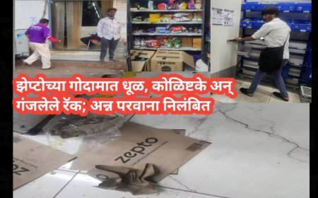 झेप्टोच्या गोदामात धूळ, कोळिष्टके अन् गंजलेले रॅक; अन्न परवाना निलंबित
