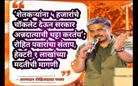 ‘शेतकऱ्यांना ५ हजारांचे चॉकलेट देऊन सरकार अन्नदात्याची थट्टा करतंय’; रोहित पवारांचा संताप, हेक्टरी १ लाखांच्या मदतीची मागणी
