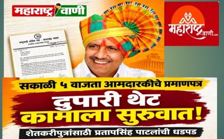 सकाळी ५ वाजता आमदारकीचे प्रमाणपत्र घेतले, दुपारी थेट कामाला सुरुवात! प्रतापसिंह पाटलांची शेतकरीपुत्रांसाठी धडपड