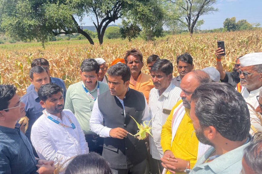 दुष्काळाच्या झळा जाणून घेण्यासाठी जिल्हाधिकारी बांधावर; पीक पाहणीसह शेतकऱ्यांशी थेट संवाद