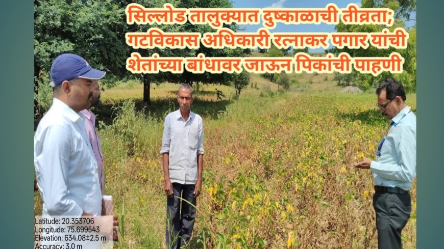 सिल्लोड तालुक्यात दुष्काळाची तीव्रता; गटविकास अधिकारी रत्नाकर पगार यांची शेतांच्या बांधावर जाऊन पिकांची पाहणी