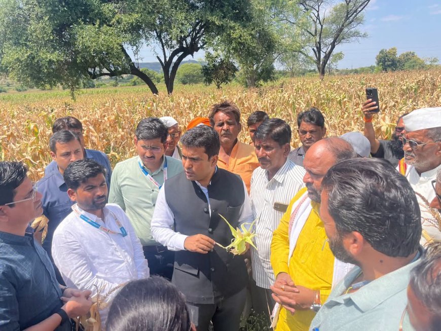 दुष्काळाच्या झळा जाणून घेण्यासाठी जिल्हाधिकारी बांधावर; पीक पाहणीसह शेतकऱ्यांशी थेट संवाद